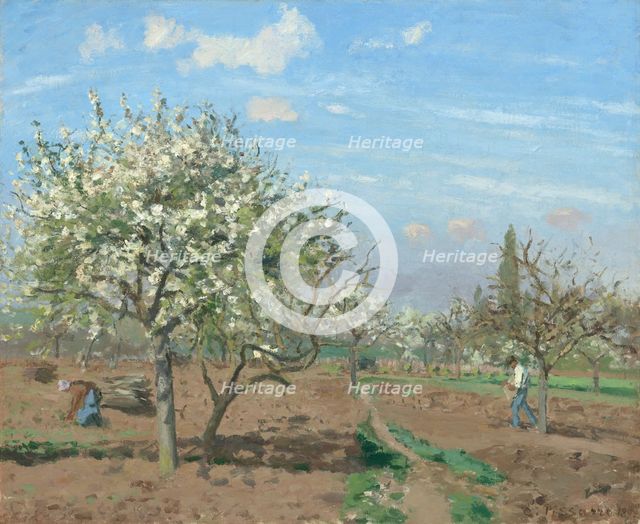 Orchard in Bloom, Louveciennes, 1872. Creator: Camille Pissarro.