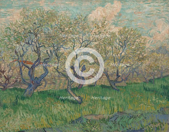 Orchard in Blossom, 1889. Creator: Gogh, Vincent, van (1853-1890).