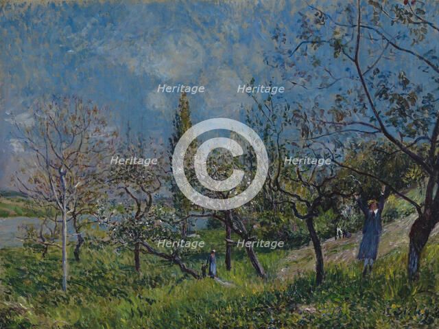 Orchard in Spring, By, 1881. Artist: Sisley, Alfred (1839-1899)