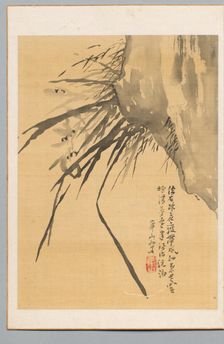 Orchid, 19th century. Creator: Watanabe Kazan (Japanese, 1793-1841)