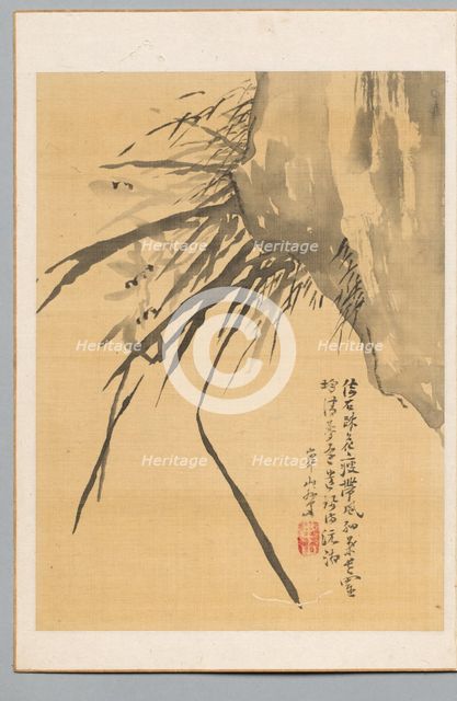 Orchid, 19th century. Creator: Watanabe Kazan (Japanese, 1793-1841).