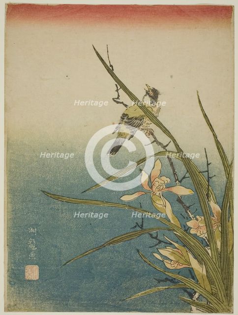 Orchid and Bird, c. 1770. Creator: Isoda Koryusai.