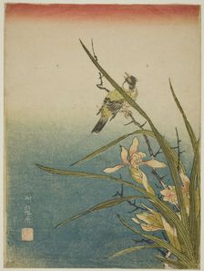Orchid and Bird, c. 1770. Creator: Isoda Koryusai