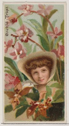 Orchid: Trust, from the series Floral Beauties and Language of Flowers (N75) for Duke bran..., 1892. Creator: Donaldson Brothers