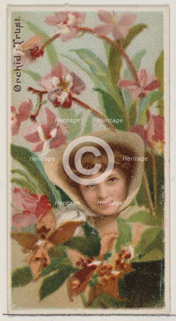 Orchid: Trust, from the series Floral Beauties and Language of Flowers (N75) for Duke bran..., 1892. Creator: Donaldson Brothers.
