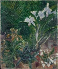 Orchidées dans la serre du Petit Gennevilliers, 1893. Creator: Caillebotte, Gustave (1848-1894)
