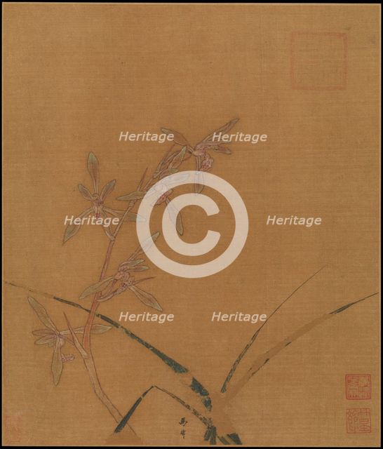 Orchids, second quarter of the 13th century. Creator: Ma Lin.