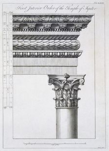 Order of the Portico to the Vestibulum in the Peristylium, pub. 1764. Creator: Robert Adam (1728-92)