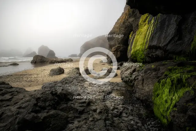 Oregon Coast. Creator: Joshua Johnston.