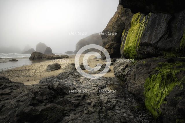 Oregon Coast. Creator: Joshua Johnston.