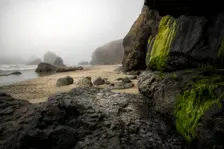 Oregon Coast. Creator: Joshua Johnston