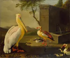 Oriental Birds, 1683. Artist: Adriaen Coorte