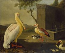 Oriental Birds, 1683. Artist: Adriaen Coorte