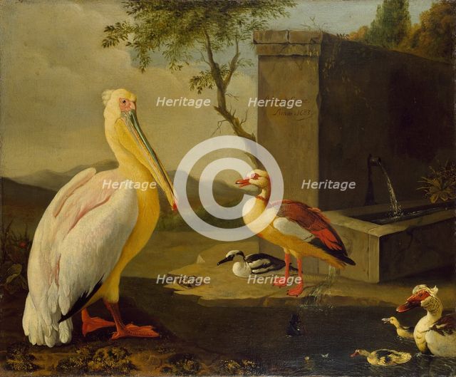 Oriental Birds, 1683. Artist: Adriaen Coorte.