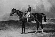 Orlando c1841-1860, (1911)