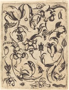 Ornament. Creator: Master T.F.