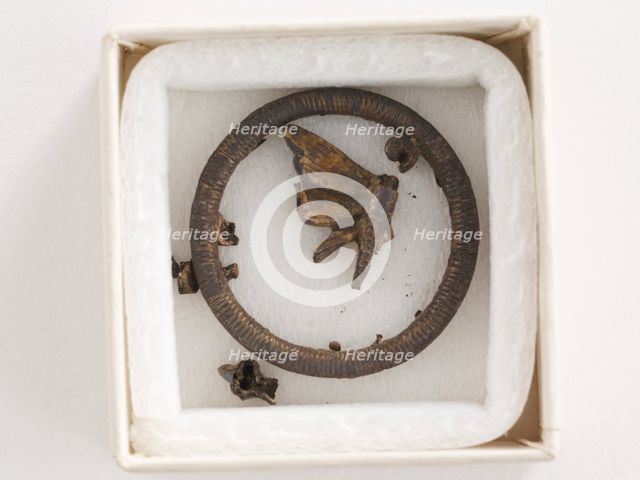 Ornament: dragonfly (in fragments), Goryeo period, 12th-13th century. Creator: Unknown.