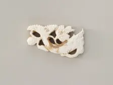 Ornament: fish and water plants, Goryeo period, 12th-13th century. Creator: Unknown