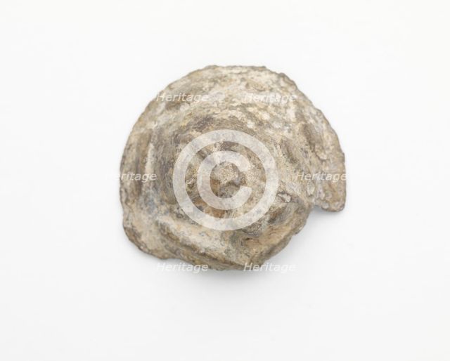Ornament possibly with a reclining animal, Possibly Han dynasty, 206 BCE-220 CE. Creator: Unknown.
