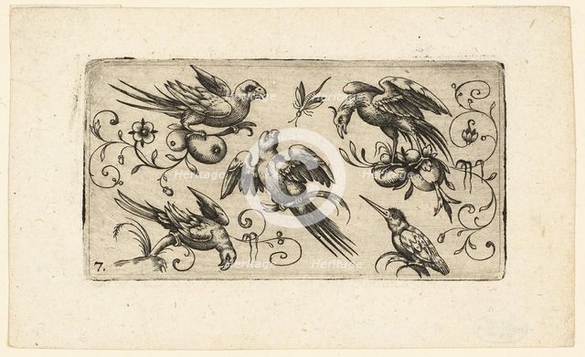 Ornament Panels with Birds: Plate 7, 1617. Creator: Adrian Muntink.