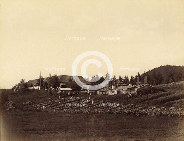 Orphanage at the Nizhniaia Kara Mining Works, 1891. Creator: Aleksei Kuznetsov.