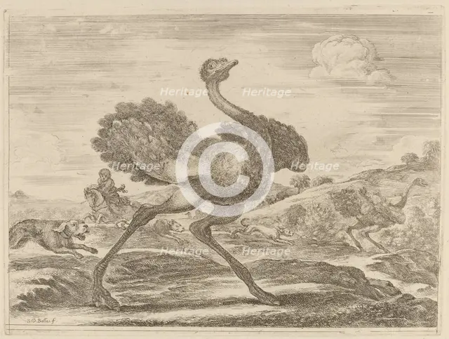 Ostrich Hunt. Creator: Stefano della Bella.