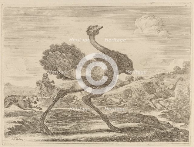 Ostrich Hunt. Creator: Stefano della Bella.
