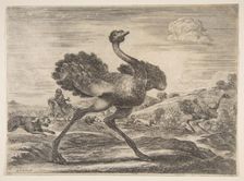 Ostrich hunt, from Animal hunts (Chasses à différents animaux), ca. 1654. Creator: Stefano della Bella
