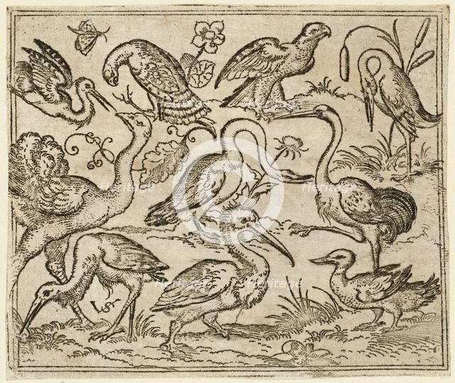 Ostrich on left side with nine other birds, including a heron and a pelican..., 1557. Creator: Virgil Solis.
