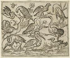 Ostrich on left side with nine other birds, including a heron and a pelican..., 1557. Creator: Virgil Solis