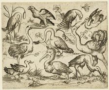 Ostrich on left side with nine other birds, including a heron and a pelican..., after 1557. Creator: Virgil Solis