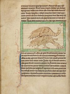 Ostriches; Northumberland Bestiary, about 1250-1260. Creator: Unknown