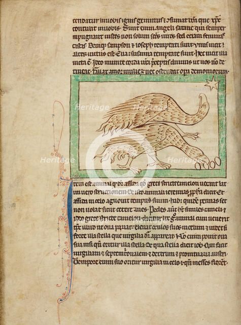 Ostriches; Northumberland Bestiary, about 1250-1260. Creator: Unknown.