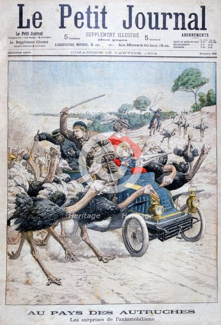 Ostriches attacking a car, California, USA, 1904. Artist: Unknown