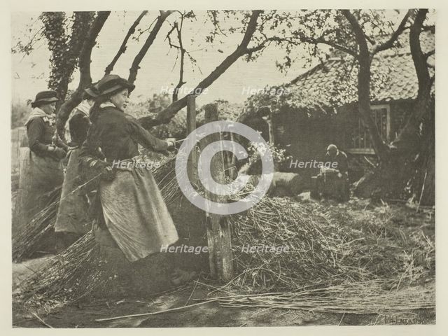 Osier-Peeling (Norfolk), c. 1883/87, printed 1888. Creator: Peter Henry Emerson.