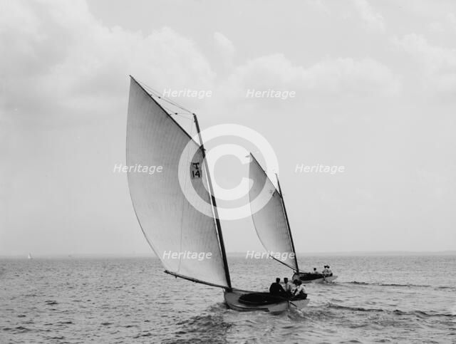 Osprey and Sirene, 1897 July 31. Creator: John S Johnston.