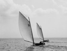 Osprey and Sirene, 1897 July 31. Creator: John S Johnston