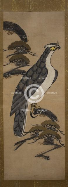 Otsu-e of Falcon on a Pine Tree , 18th century. Creator: Unknown.