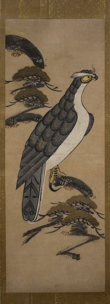 Otsu-e of Falcon on a Pine Tree , 18th century. Creator: Unknown