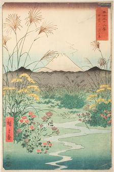 Otsuki Plain in Kai Province (Kai Otsuki no hara), from the series "Thirty-six Views of..., 1858. Creator: Ando Hiroshige