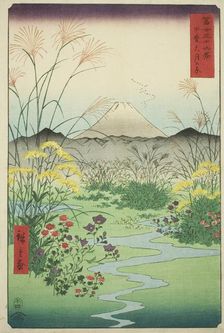 Otsuki Plain in Kai Province (Kai Otsuki no hara), from the series "Thirty-six Views of..., 1858. Creator: Ando Hiroshige
