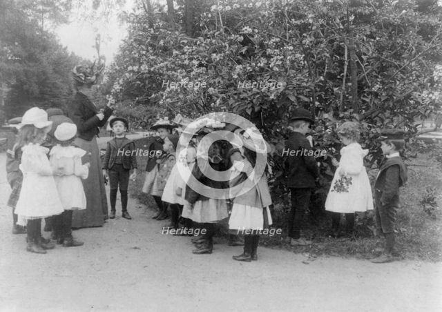 Outdoor class in botany, Washington, D.C., (1899?). Creator: Frances Benjamin Johnston.