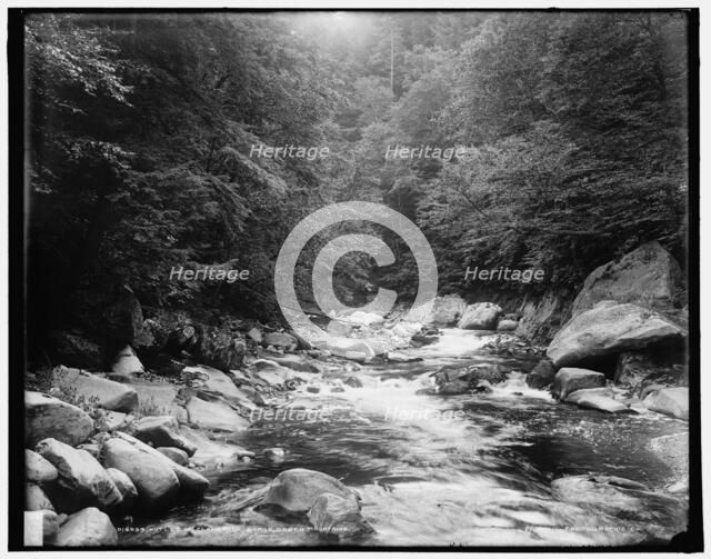 Outlet of Clarendon Gorge, Green Mountains, between 1900 and 1906. Creator: Unknown.
