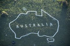 Outline chalk map of Australia, Wiltshire, 2019. Creator: Damian Grady