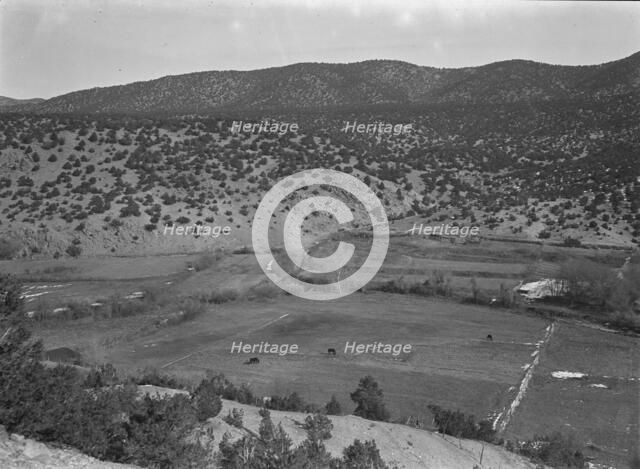 Outlying fields of Mexican village in the hills of the Tewa Basin, New Mexico, 1935. Creator: Dorothea Lange.