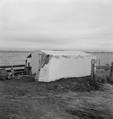 Outside of potato pickers camp, across from the..., Tulelake, Siskiyou County, California, 1939. Creator: Dorothea Lange