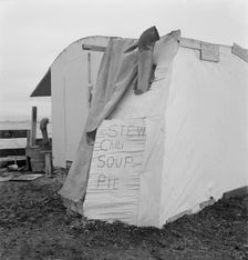 Outside of potato pickers camp, across from the..., Tulelake, Siskiyou County, California, 1939. Creator: Dorothea Lange