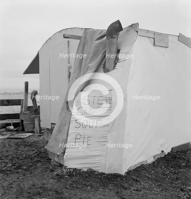 Outside of potato pickers' camp, across from the..., Tulelake, Siskiyou County, California, 1939. Creator: Dorothea Lange.
