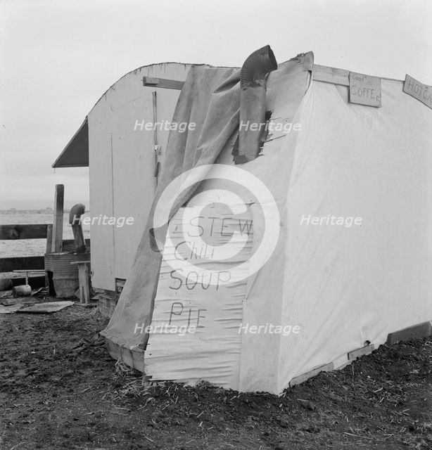 Outside of potato pickers' camp, across from the..., Tulelake, Siskiyou County, California, 1939. Creator: Dorothea Lange.