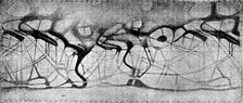 Our Near Neighbour, Mars: Fig. 7: the "Channels" of Mars, as recorded by Schiaparelli, 1895. Creator: Unknown